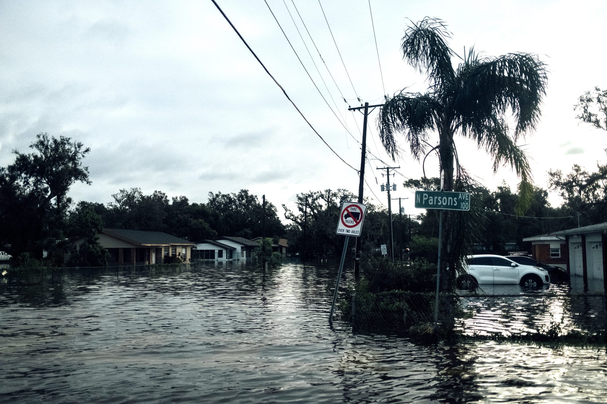 Flooded neighborhood street with palm trees and power lines